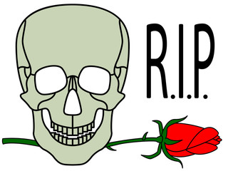 Skull and rose
