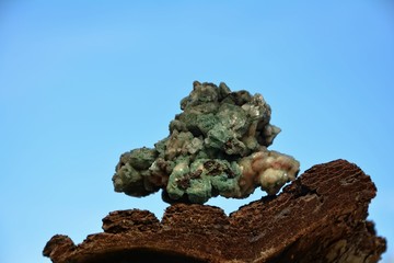 Grüner Mineralien Quarz Stein auf Baumrinde vor blauem Himmel