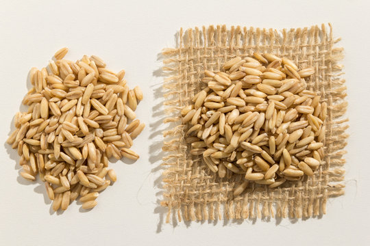 Oat cereal grain. Close up of grains spreaded over white table.