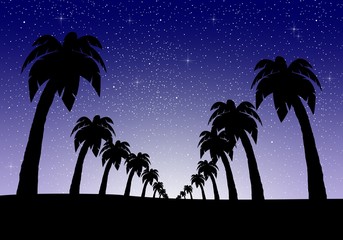 Night landscape with palm trees in a row on a sandy country with deep blue night sky with luminous stars in the starry sky with white glow in the middle of the bottom 