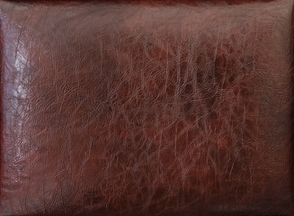 Skin texture on the back of the bed