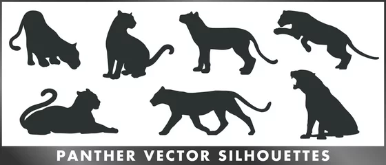 Foto op Plexiglas Panther vector silhouettes © oxinoxi