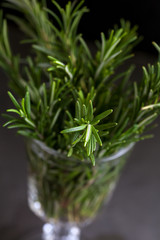 bouquet of rosemary in a glass on a dark background