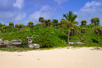 Beach at Caribbean sea in Playa del Carmen, Mexico