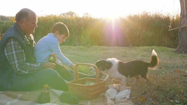 family relationships, autumn leisure of boy with grandfather and dog on picnic on open air at sunset