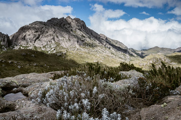 Pico das agulhas negras - Parque Nacional de Itatiaia