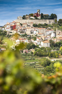 Kroatien, Istrien, Blick durch die Weinberge nach Motovun