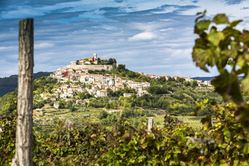 Fototapeta premium Kroatien, Istrien, Blick durch die Weinberge nach Motovun
