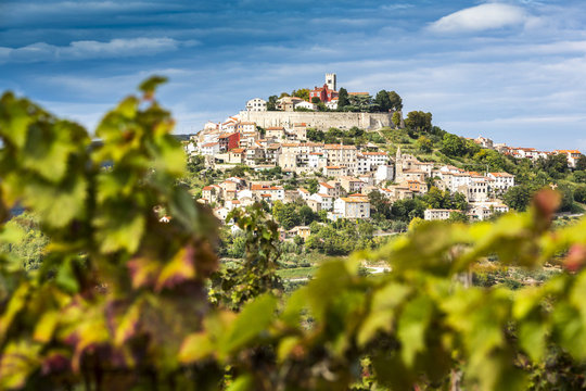 Kroatien, Istrien, Blick durch die Weinberge nach Motovun