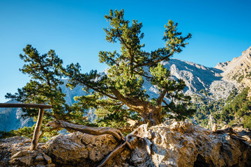 Samaria Gorge in central Crete, Greece