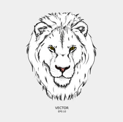 Portrait of a lion. Can be used for printing on T-shirts, flyers and stuff. 