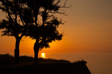 Fototapeta na wymiar The sun rises behind two tree’s silhouette.