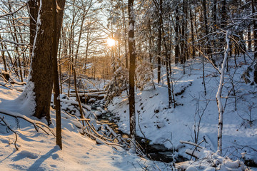 Winter stream in forest morning sunrise