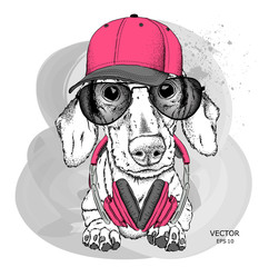Hipster dog in cap. Vector illustration - obrazy, fototapety, plakaty