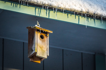 Small birdhouse on the roof under icicles