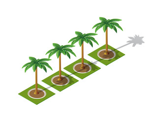 Set of isometric 3D palm