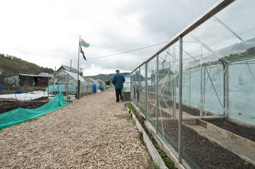 allotment