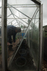 allotment