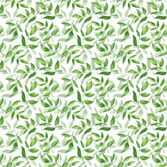 Seamless pattern with green fresh leaves on white background	