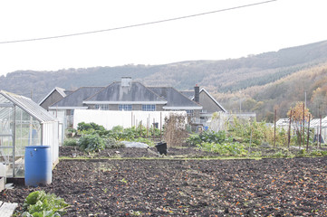 allotment
