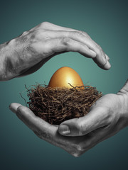 Female hands carefully hold the nest with a golden egg. The concept of saving and increasing...