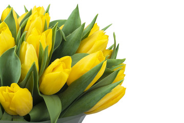 Bouquet of yellow tulips, copy space. Spring fresh flowers,  mockup for mothers day, valentine or wedding greeting card