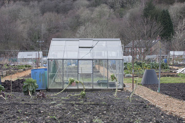 allotment