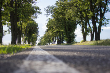 Obraz premium Road markings on asphalt road close-up
