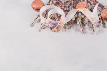 Springtime background with bunch of pussy-willow twigs, tightened by ribbon and sweet chocolate macaroons