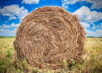 Landscape with haystack on the field