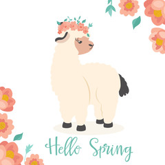 Vector Illustration. Hello spring alpaca
