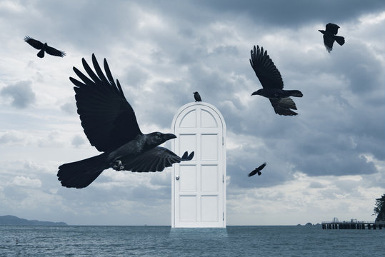 Crows flying around the door of imagination.