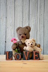 Zwei Teddybären mit Rosen und Liebe Schriftzug vor weißer Holzwand