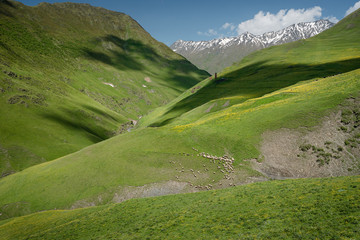 Landscape of a mountain valley with view at mountain river and mountain range.