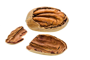 cracked pecan nut isolated on white background,macro shot