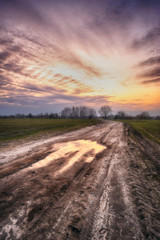 spring morning. a misty dawn in a picturesque meadow. Sun rays