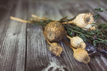 dry poppy head on wooden background