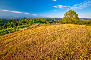 Green landscape of Medjimurje region view from hill