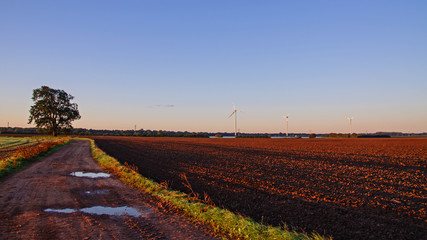 Fototapeta na wymiar Feldweg in der Morgensonne