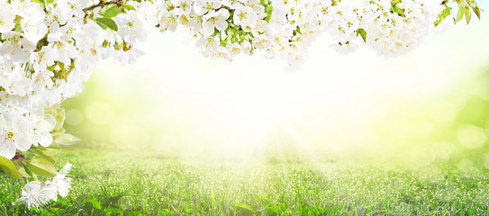 Der Frühling ist da!