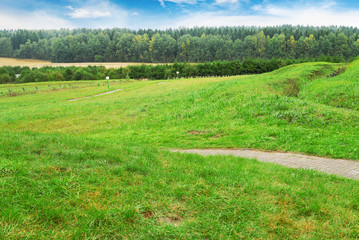 Grass field with park lane and forest on the background against blue sky with clouds