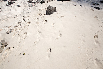 Footprints in the sand from feet on white sand. The Caribbean Sea