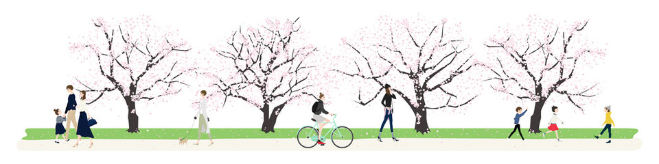 日本の春。桜並木を歩く人達のイラスト。