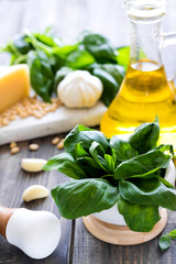 Fresh ingredients for making Italian pesto sauce