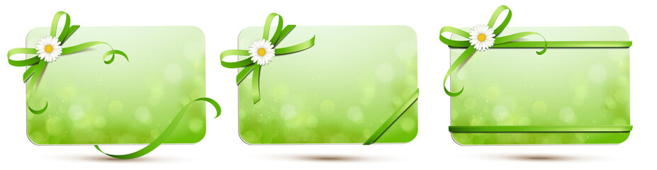 Bokeh Karten Set mit grüner Schleife und Margerite - Vorlage Frühling 