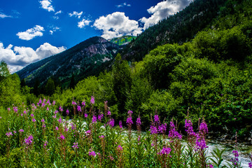 Fototapeta premium Crystal Mill in Colorado