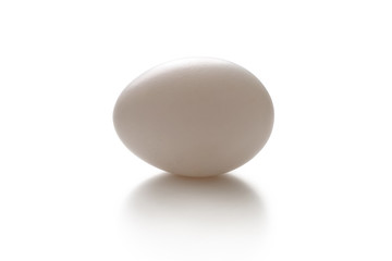 White egg on white background