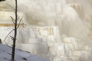 Limestone formations of Mammoth Hot Springs, Yellowstone National Park, Wyoming