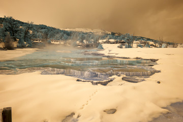 Hot spring pool in Infrared, Mammoth Hot Springs, Yellowstone National Park