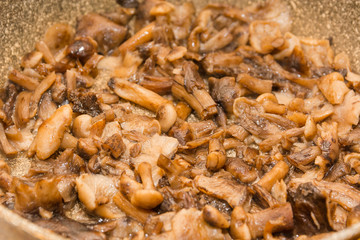 Mushrooms fry. Fried mushrooms in a frying pan. Mushrooms stew. Preparation of mushrooms.